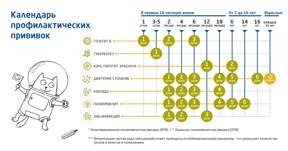 календарь прививок украина