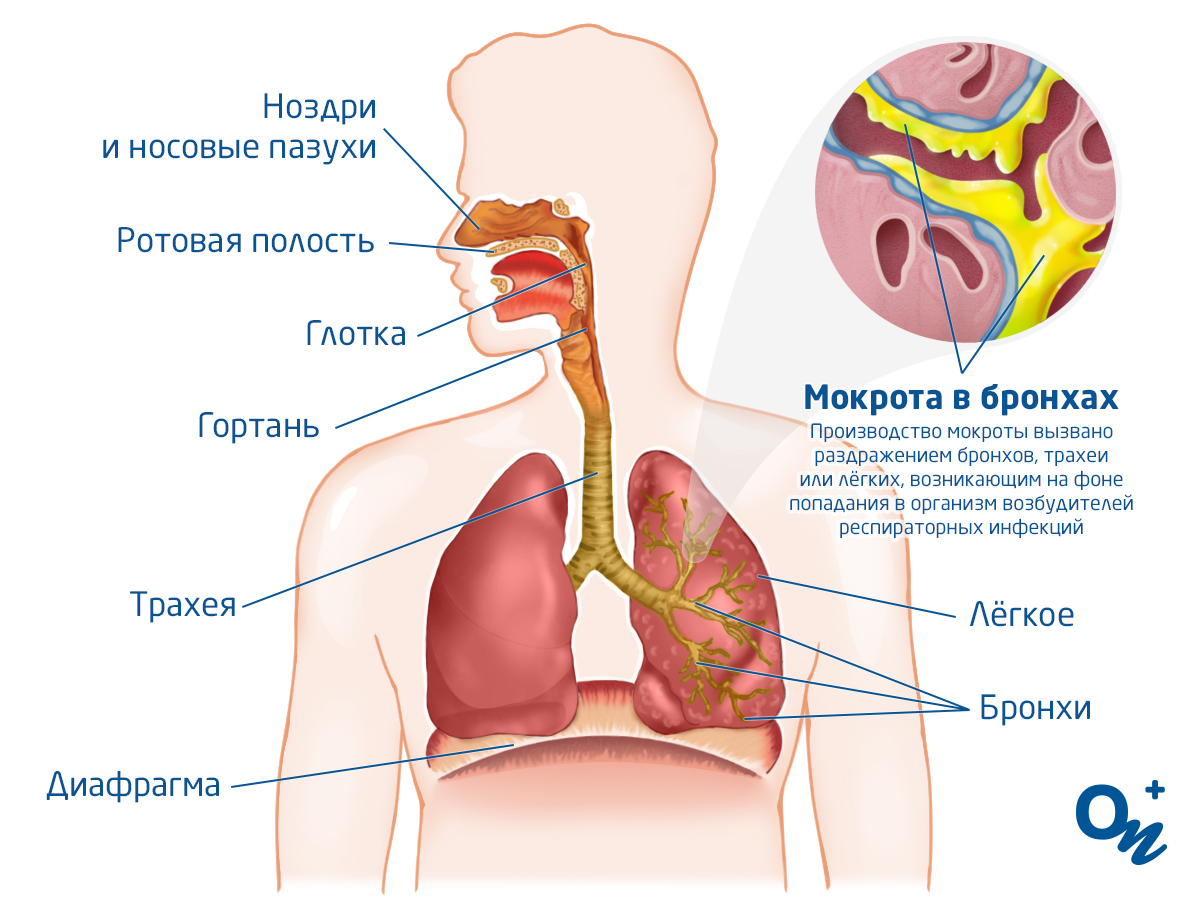Почему возникает кашель: основные причины и способы лечения