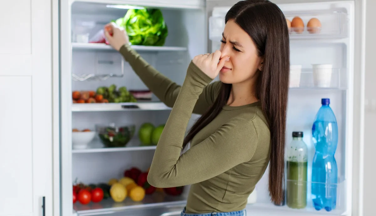 Какие продукты можно и нельзя хранить в холодильнике?