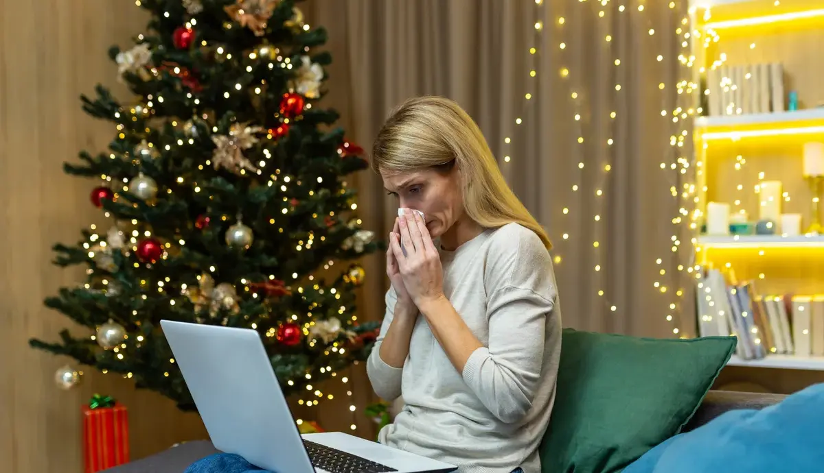 Живая или искусственная елка — какую выбрать, чтобы на праздники дома дышалось легко?