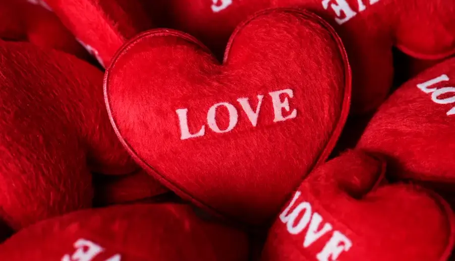 Що відбувається з організмом, коли ми закохуємося? Спецвипуск до Дня всіх закоханих