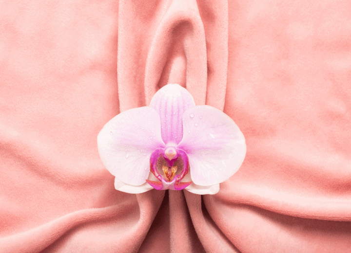 Шашты қынап пен анус