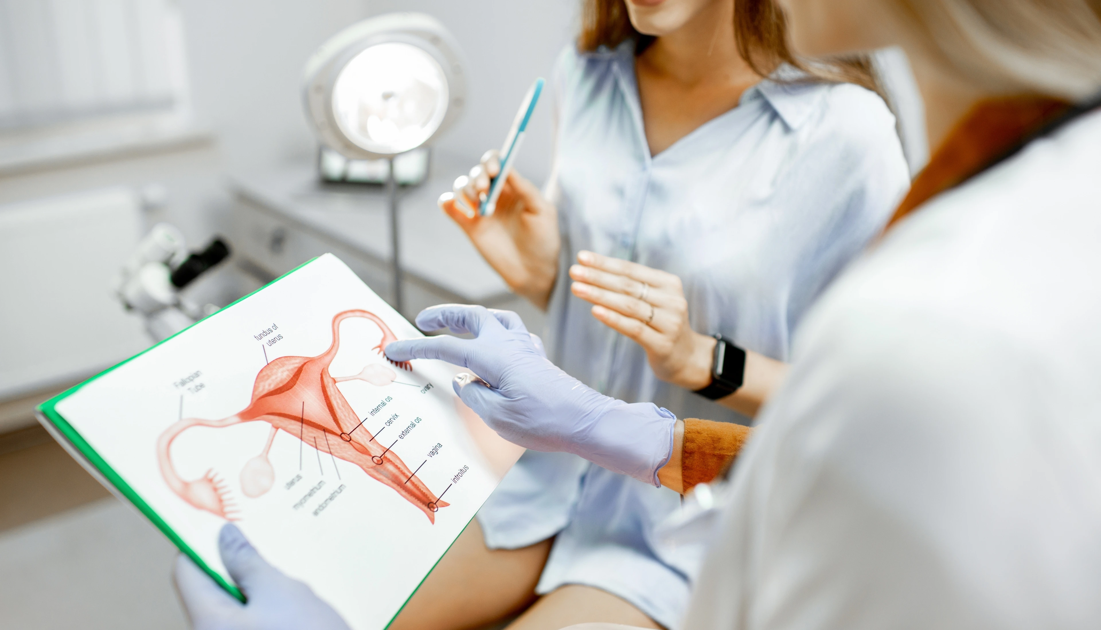 Как проходит осмотр у гинеколога и как к нему подготовиться?