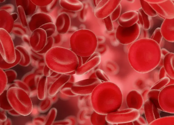 Тромбоциты в крови: норма, причины снижения и повышения, способы нормализации