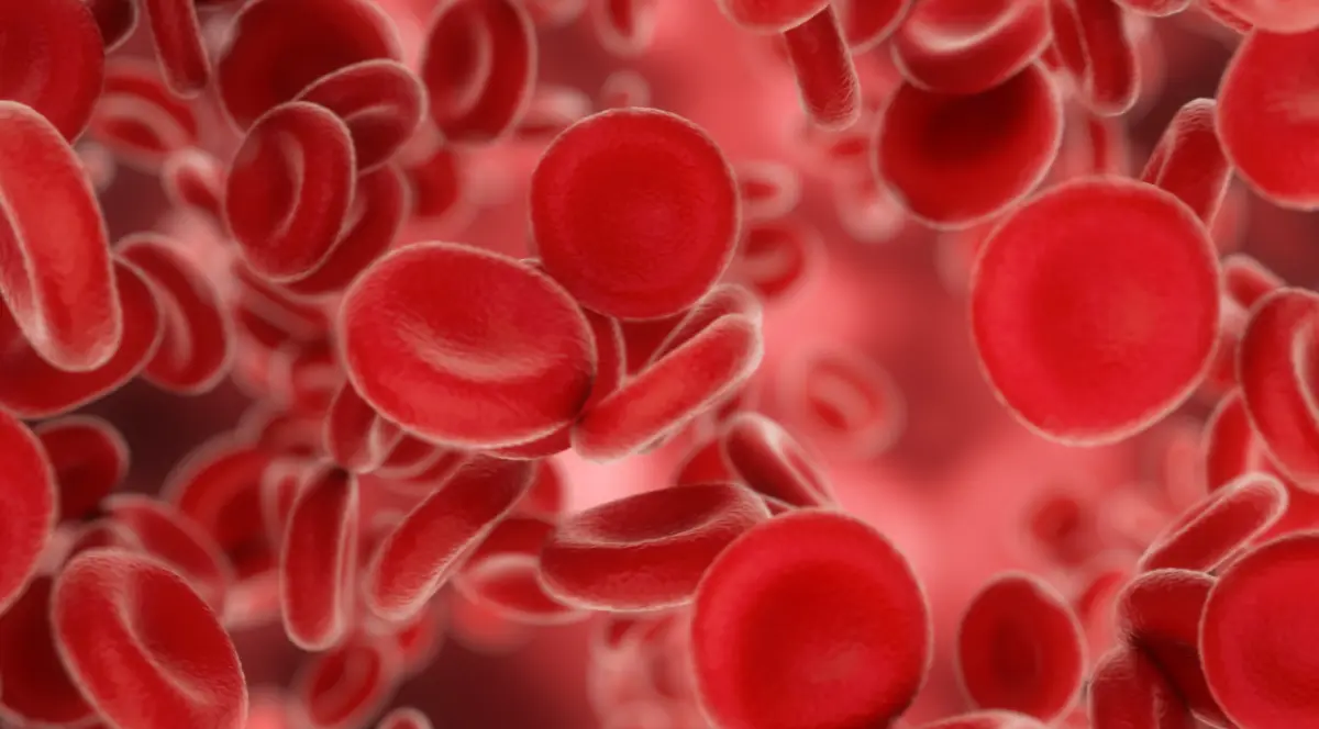 Тромбоцити в крові: норма, причини зниження та підвищення, способи нормалізації