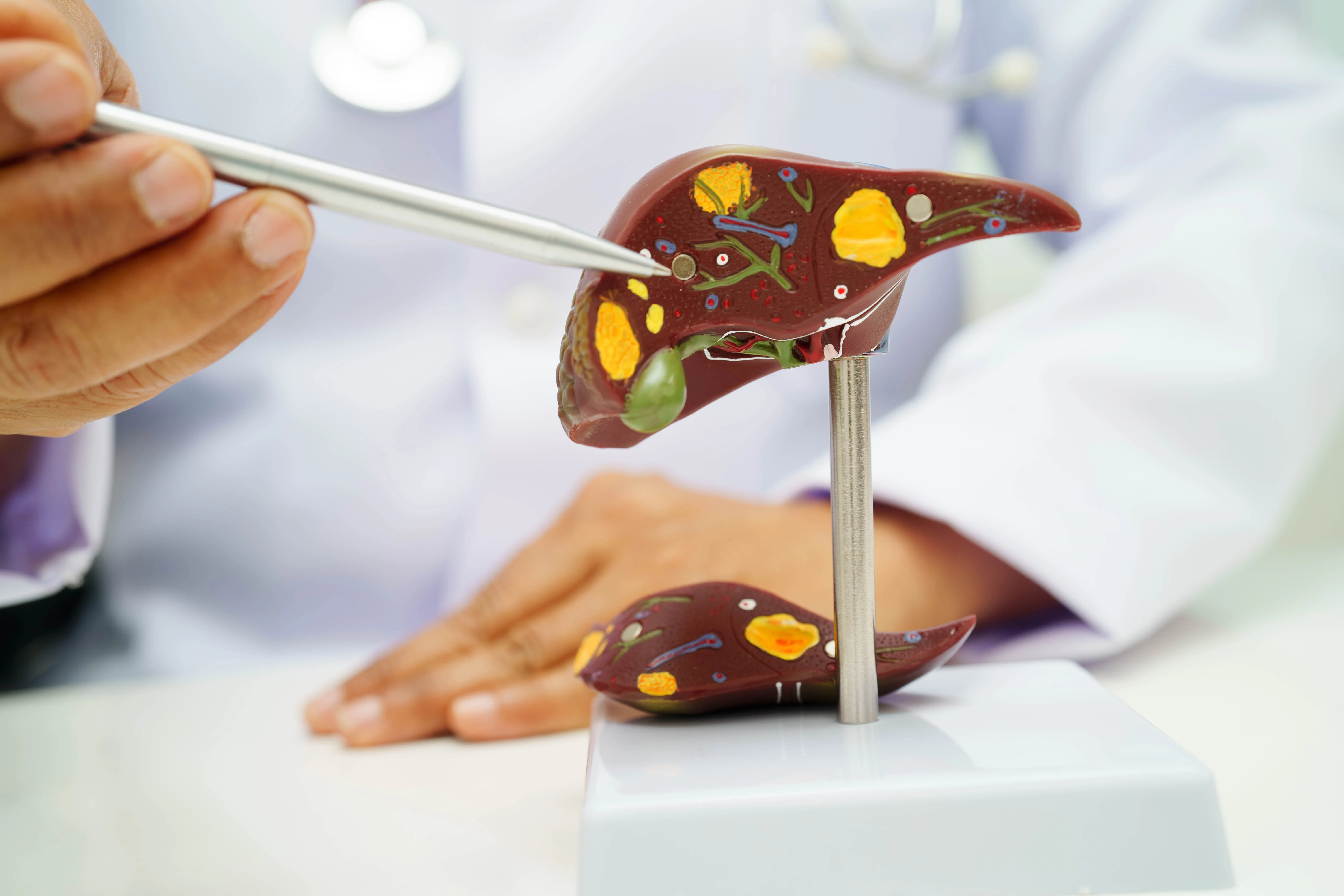 Дискинезия желчевыводящих путей: симптомы и лечение