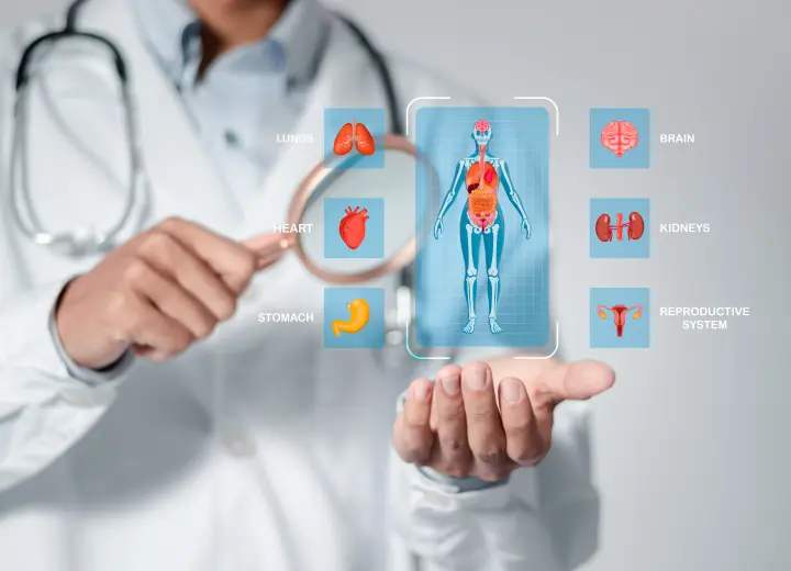 Чекап организма: что дает комплексная проверка здоровья и как выбрать нужный?