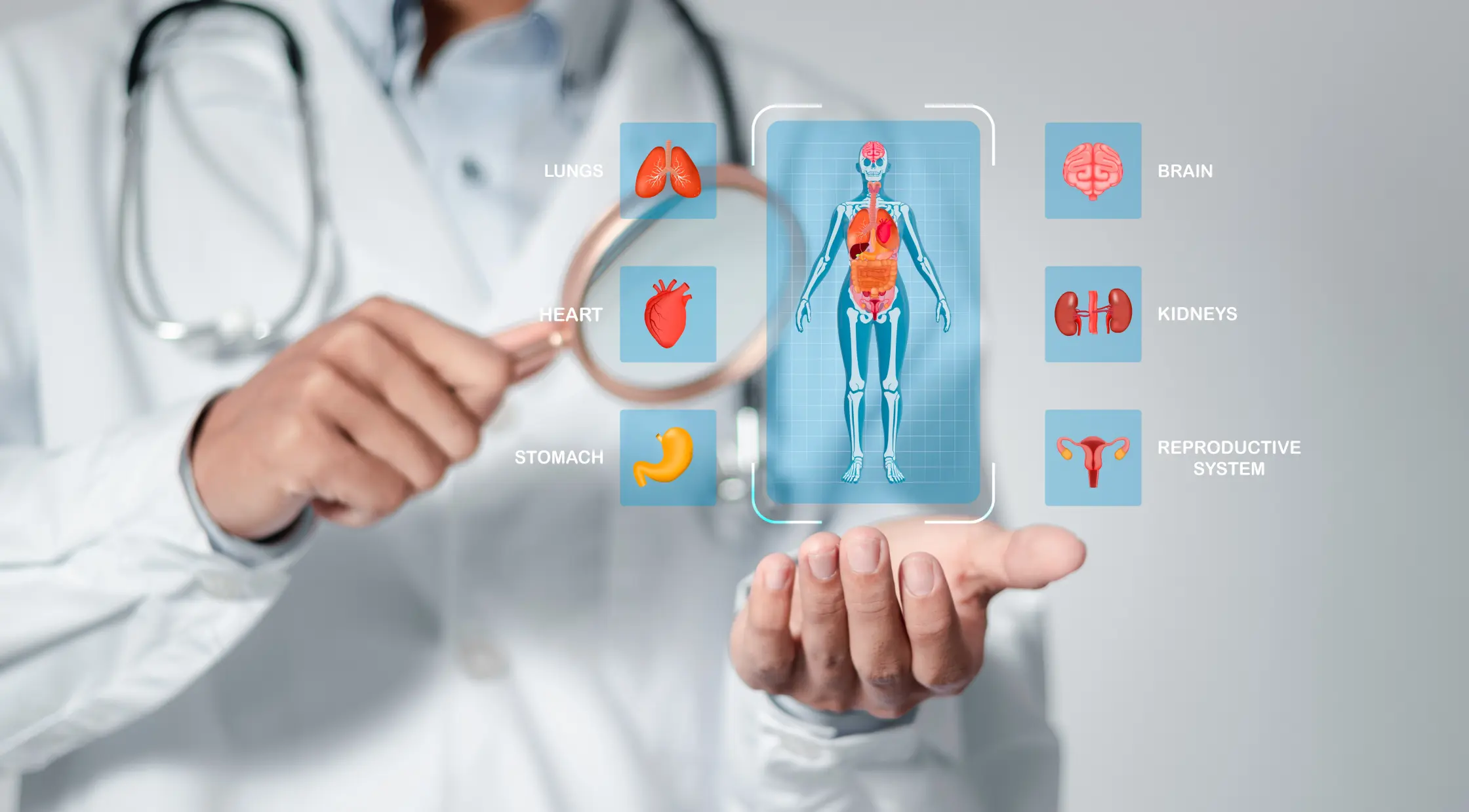 Чекап организма: что дает комплексная проверка здоровья и как выбрать нужный?