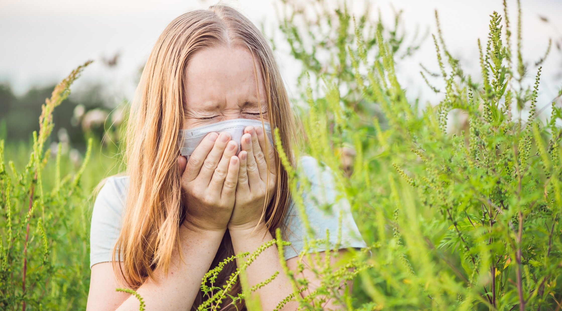 Поллиноз (сенная лихорадка) — как пережить сезон цветения и облегчить аллергию?