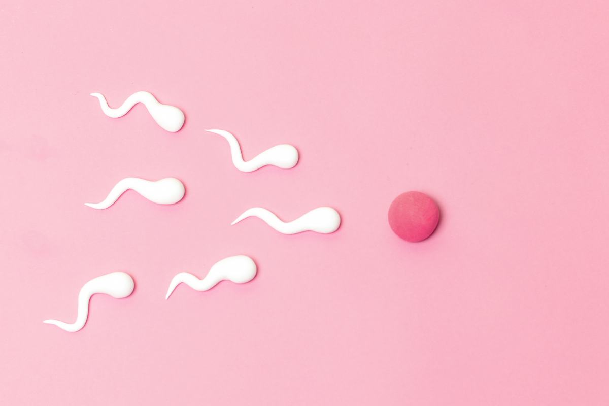 Где находится сперма, из чего она состоит и как улучшить ее качество — блог  медицинского центра ОН Клиник