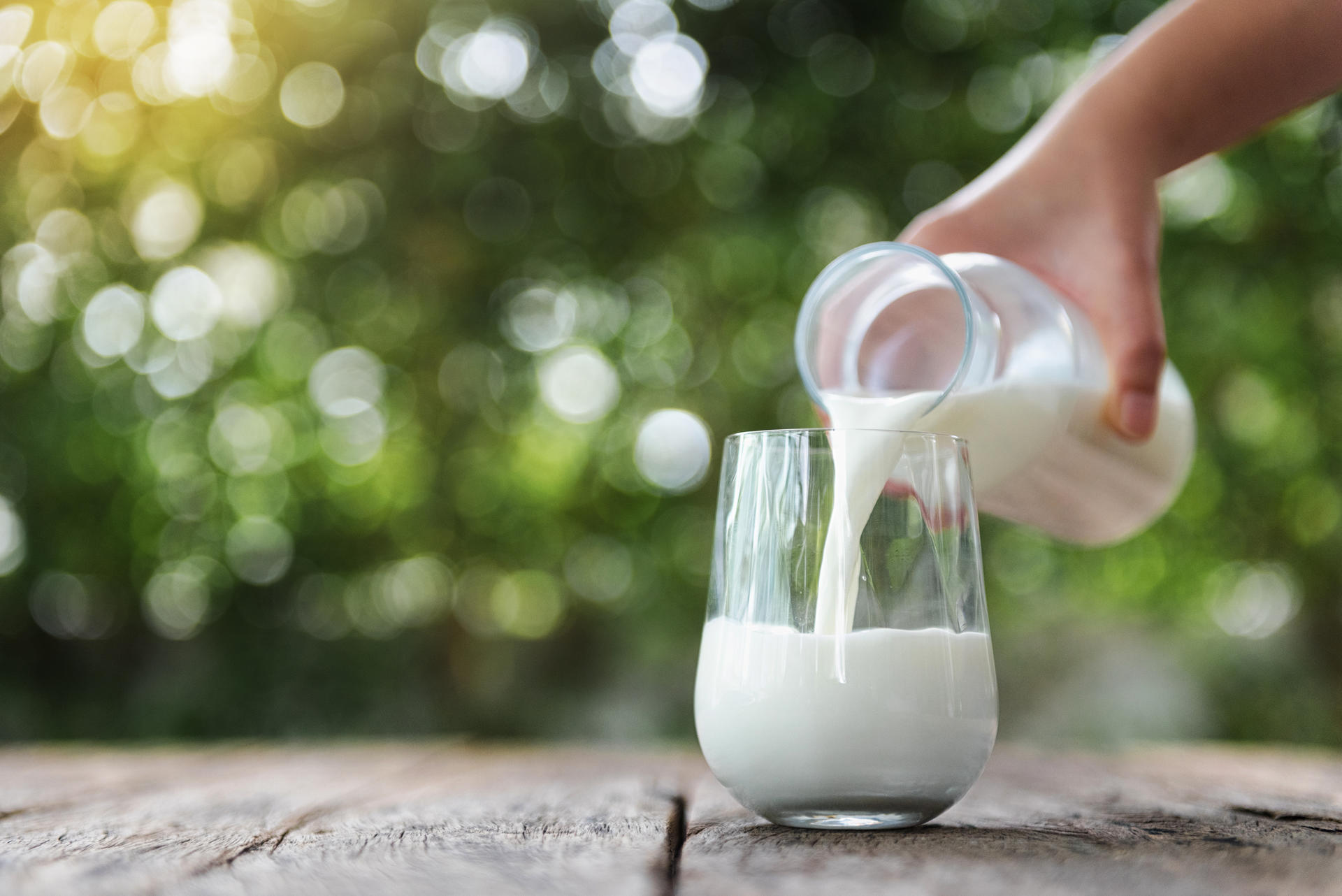 Стоит ли пить молоко: врач‑диетолог о пользе и опасности любимого продукта
