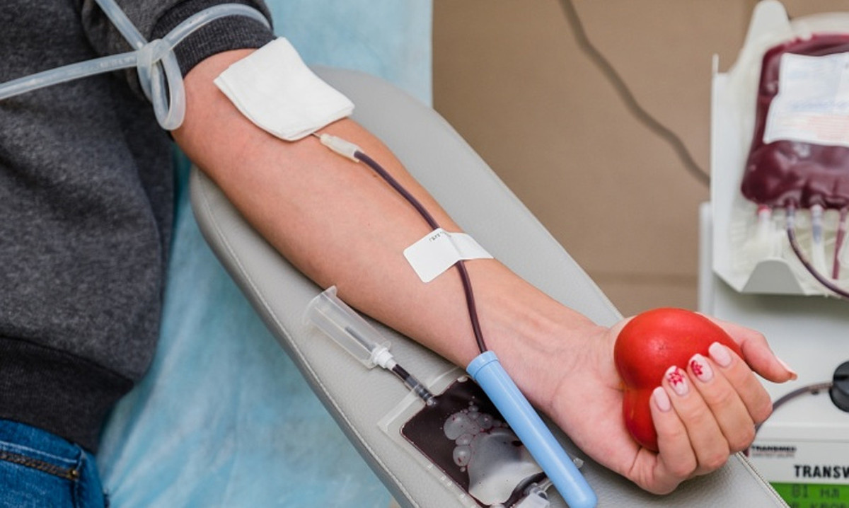 Почему во время месячных нельзя сдавать кровь на донорство? Важная информация