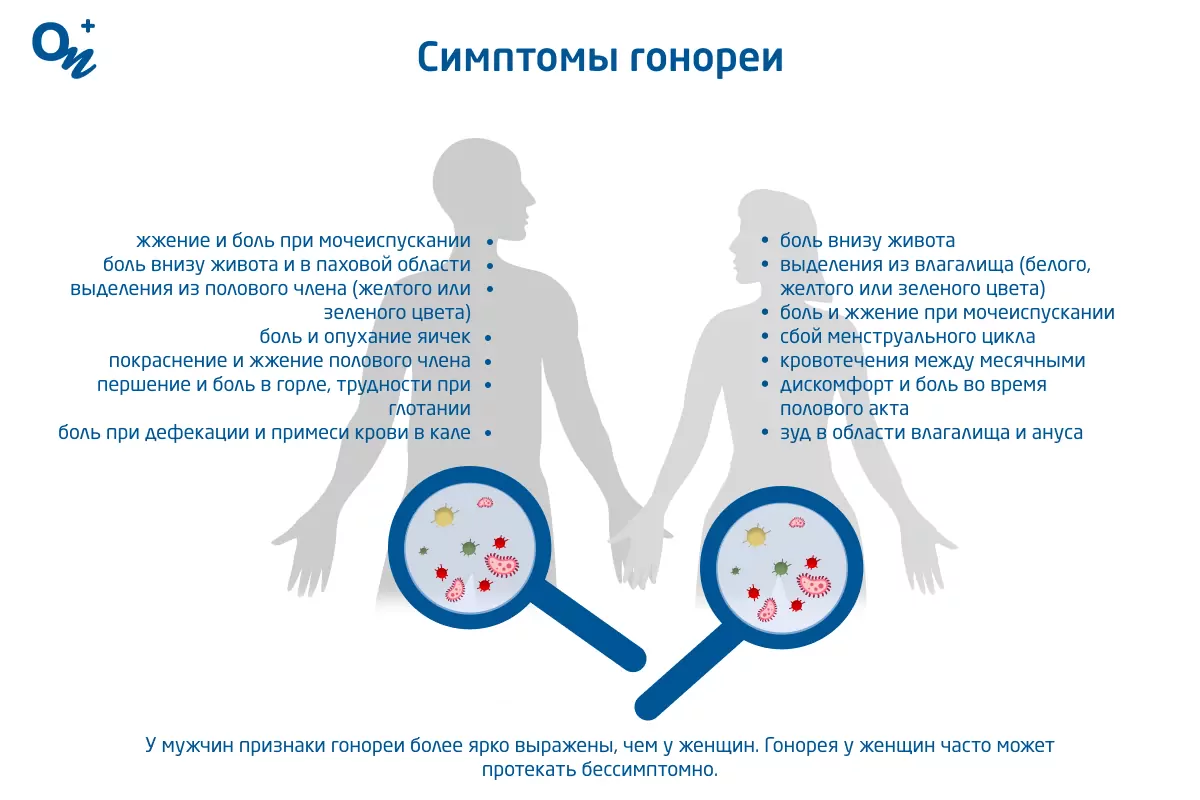 Может ли передаваться гарднерелла через оральный 