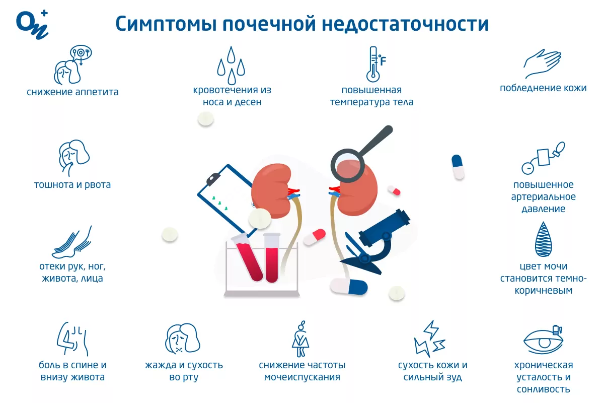 Гипертоническая нефропатия: как нарушается работа почек при гипертонической болезни - статья