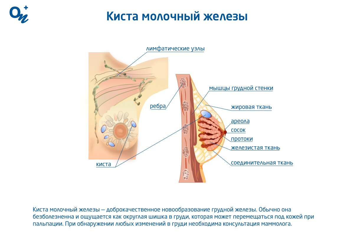 Правильная стимуляция груди: как испытать оргазм сосков