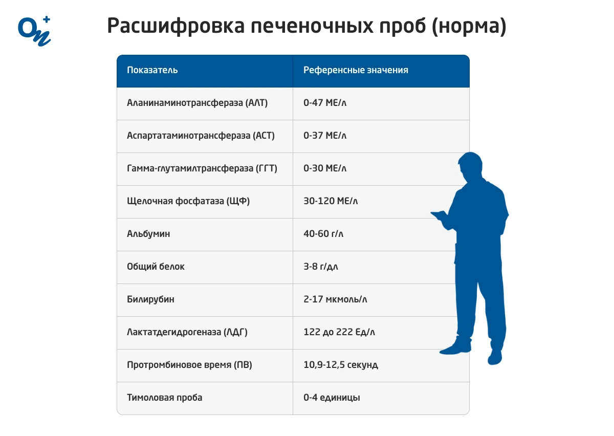 Гамма-глютамилтранспептидаза (гамма-ГТ) - KDLmed