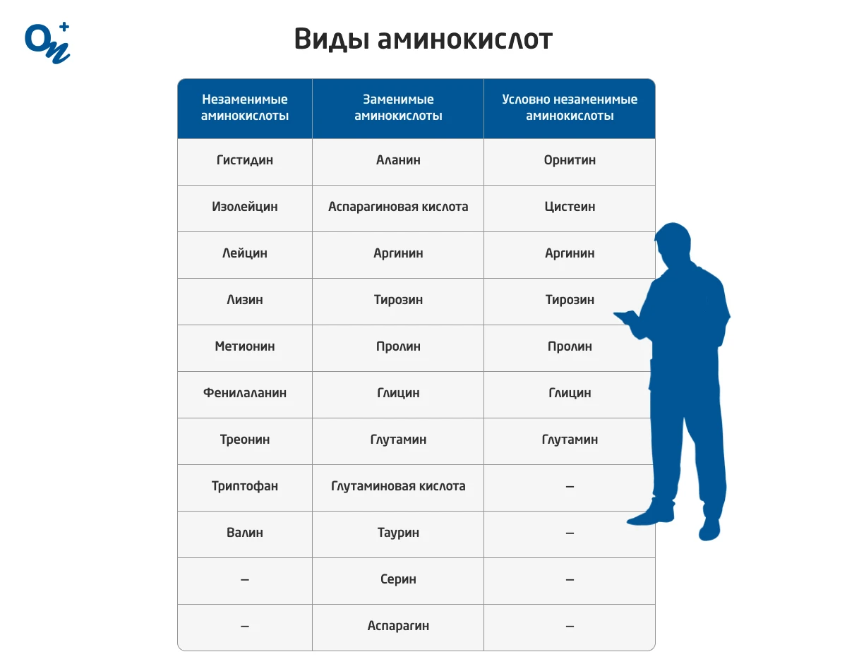 Почему некоторые аминокислоты называются незаменимыми?