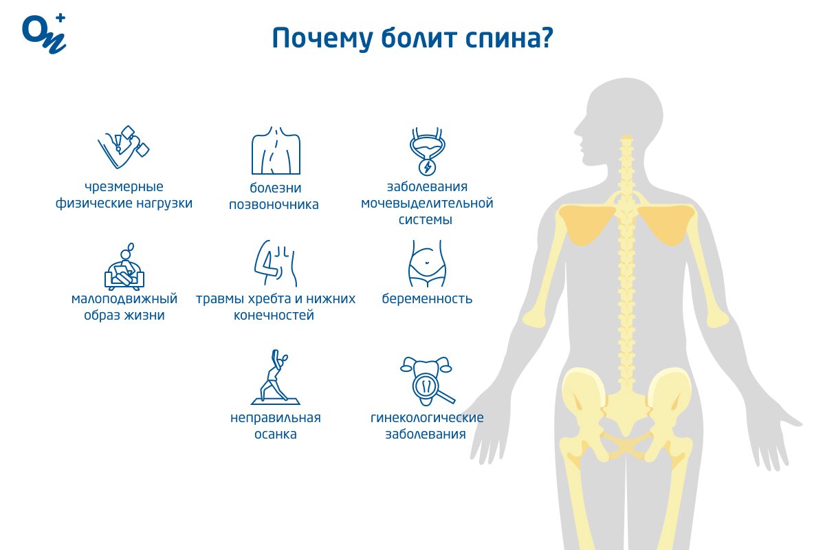 Боль в спине: виды, причины и симптомы. Диагностика, профилактика и лечение | МОТРИН®