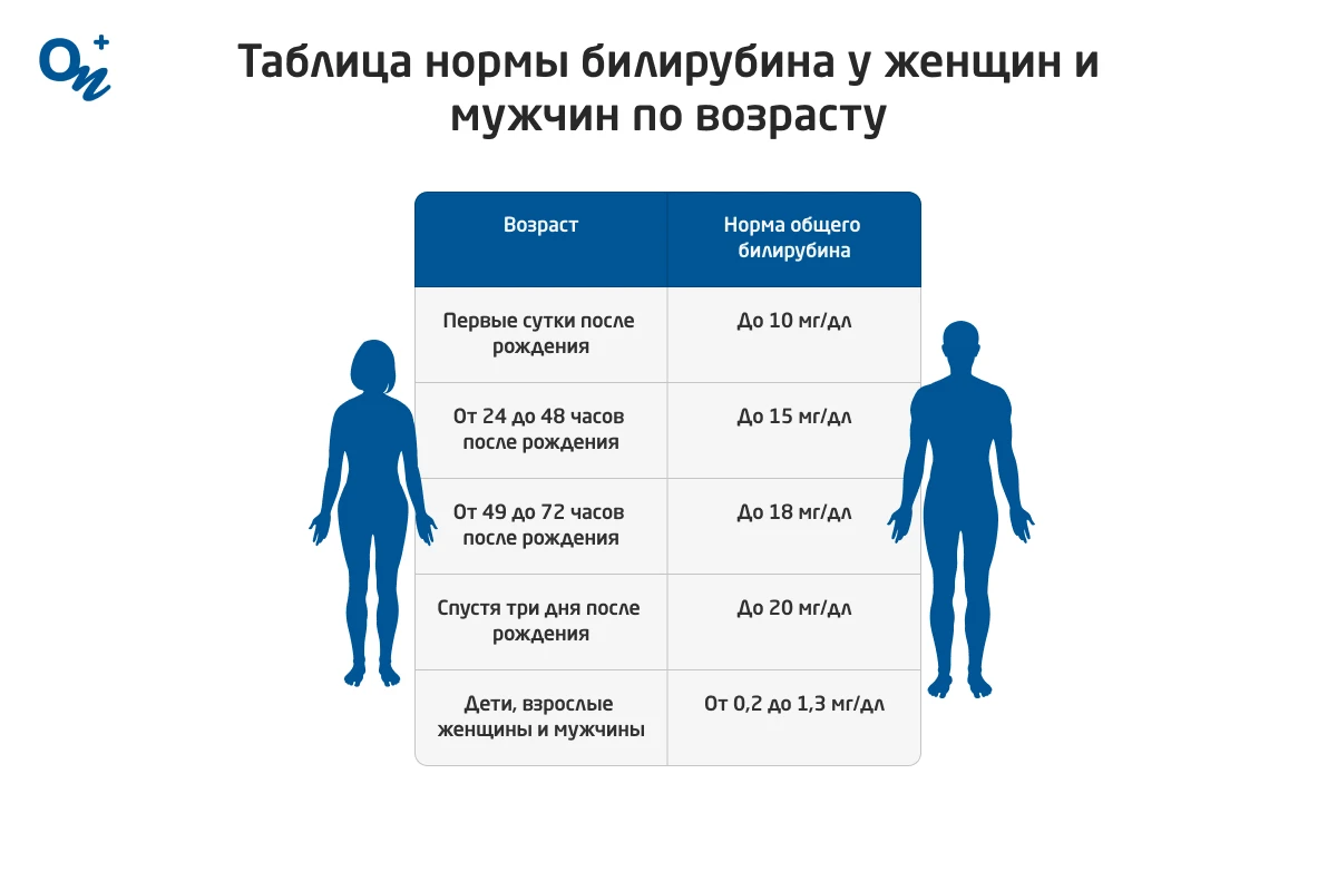 Питание при повышенном билирубине: что можно и нельзя есть