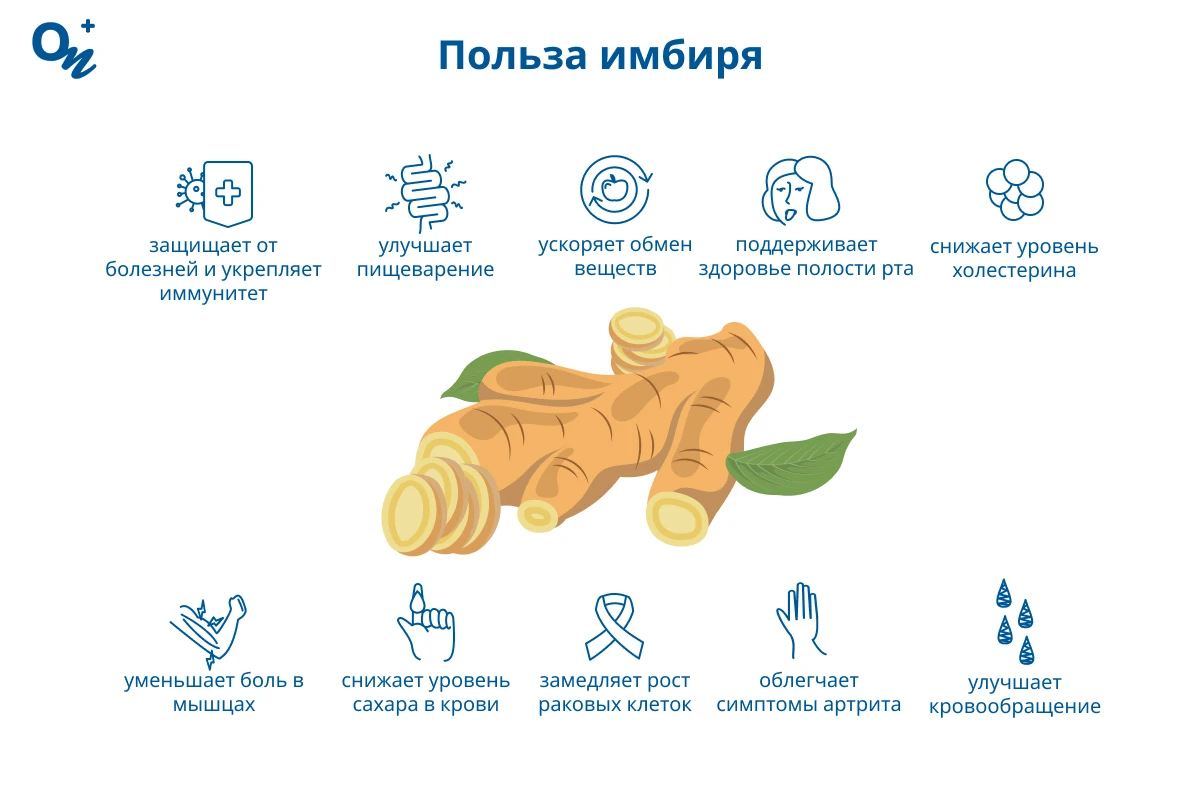 Польза имбиря