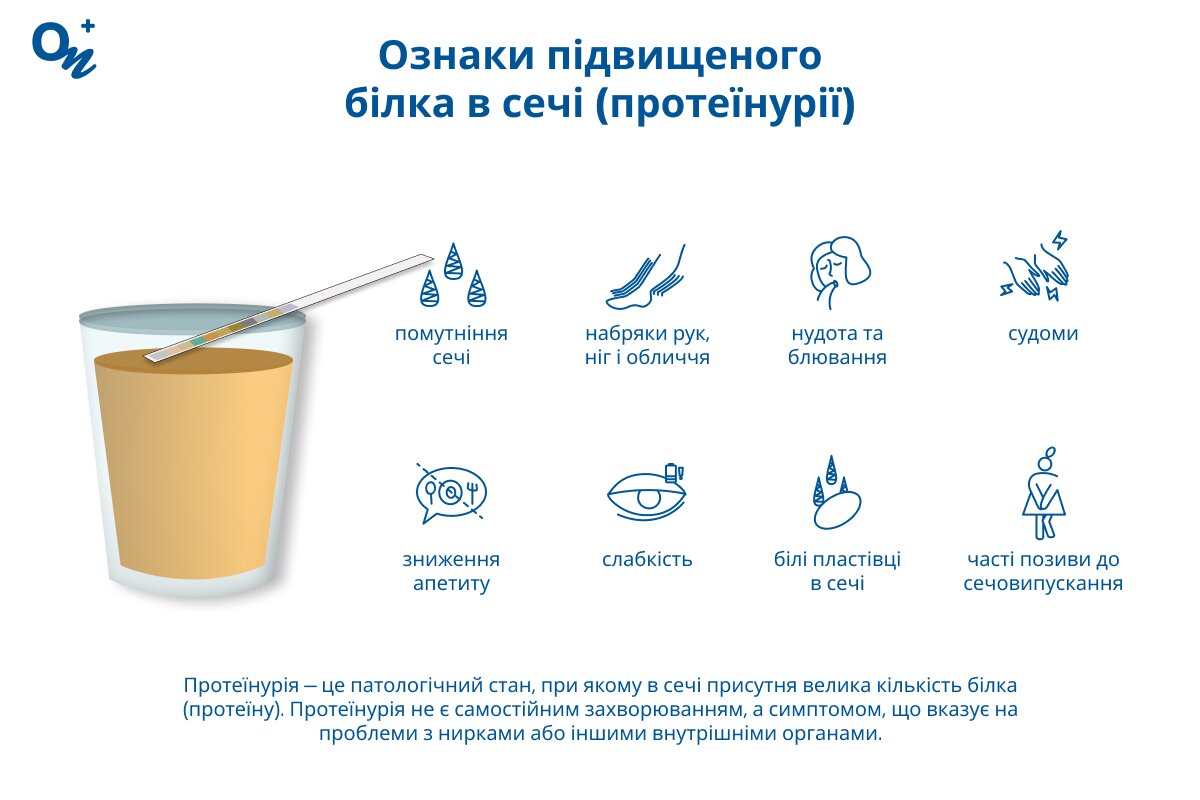 Які симптоми підвищеного білка в сечі?