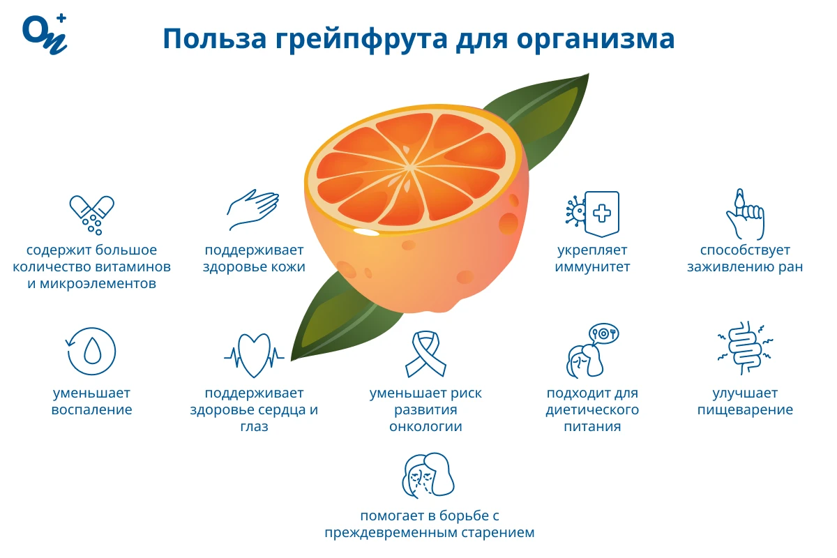 Польза грейпфрута для организма