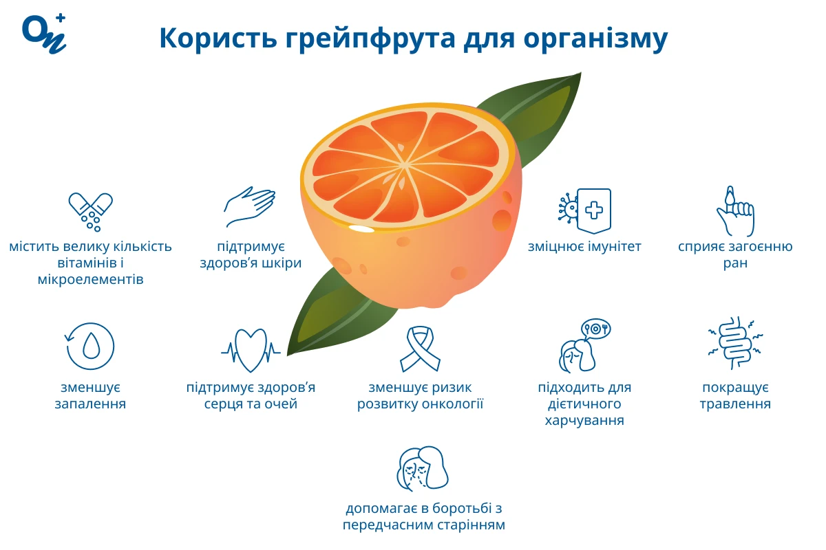Користь грейпфрута для організму