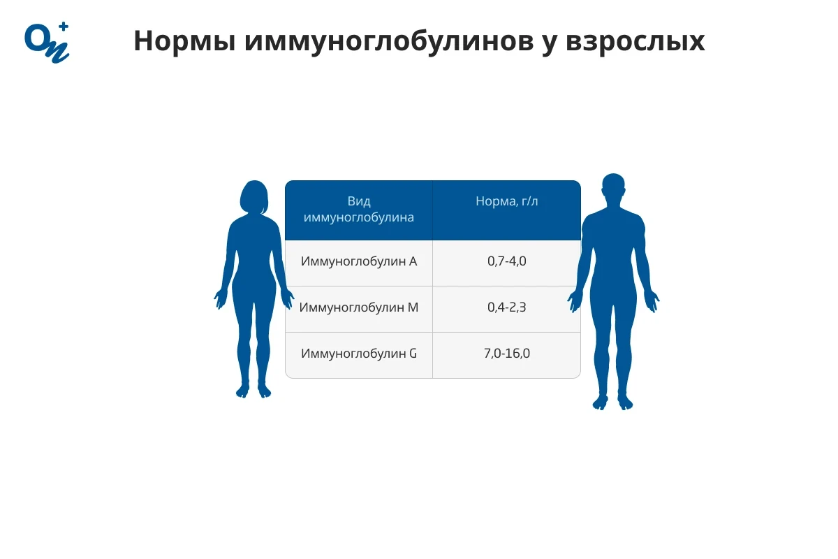 Нормы иммуноглобулинов у взрослых