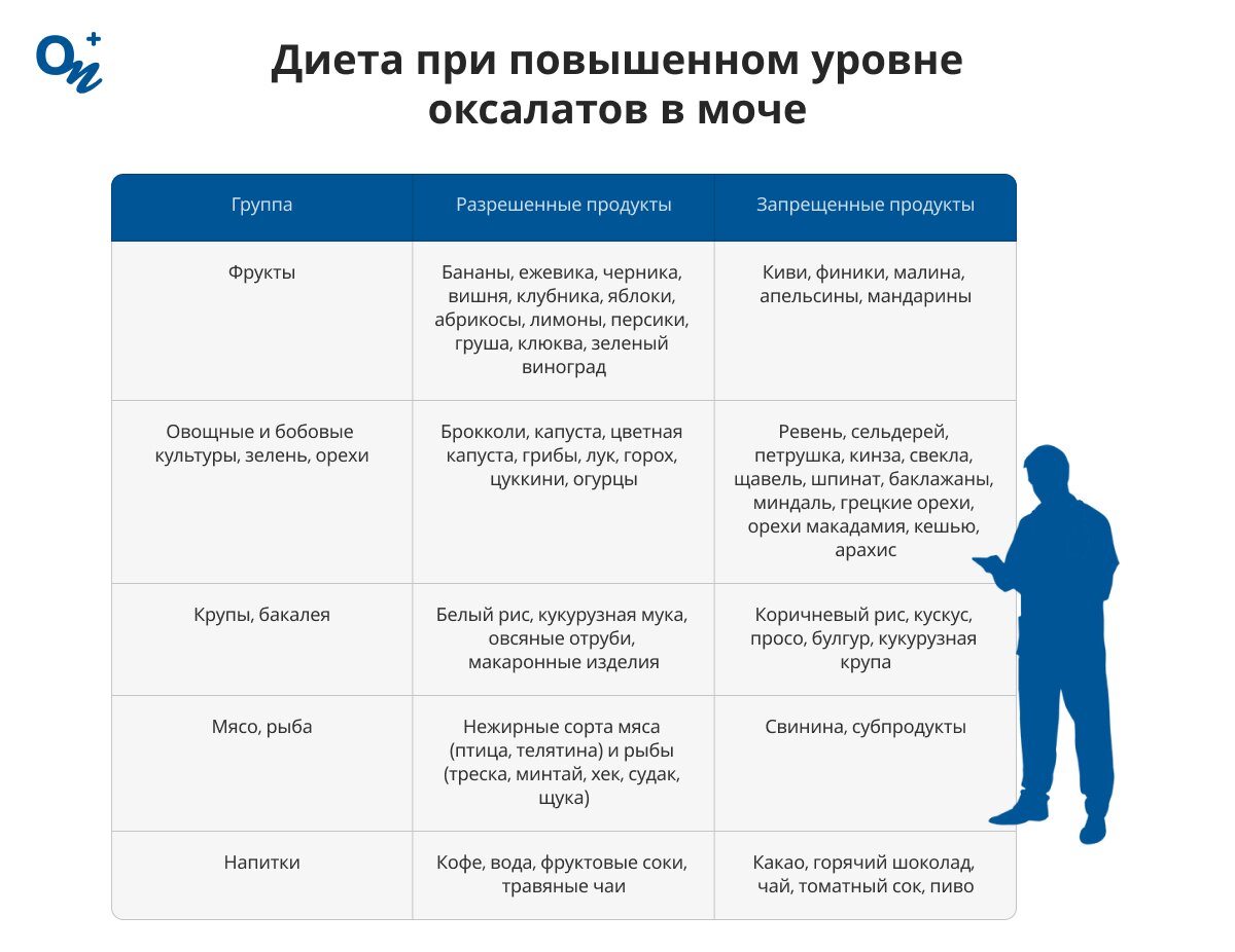 Диета при повышенном уровне оксалатов в моче