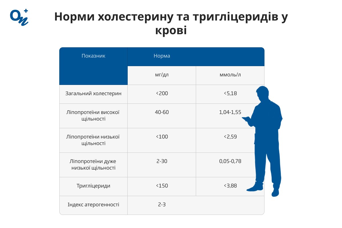 Які норми холестерину та тригліцеридів в крові?