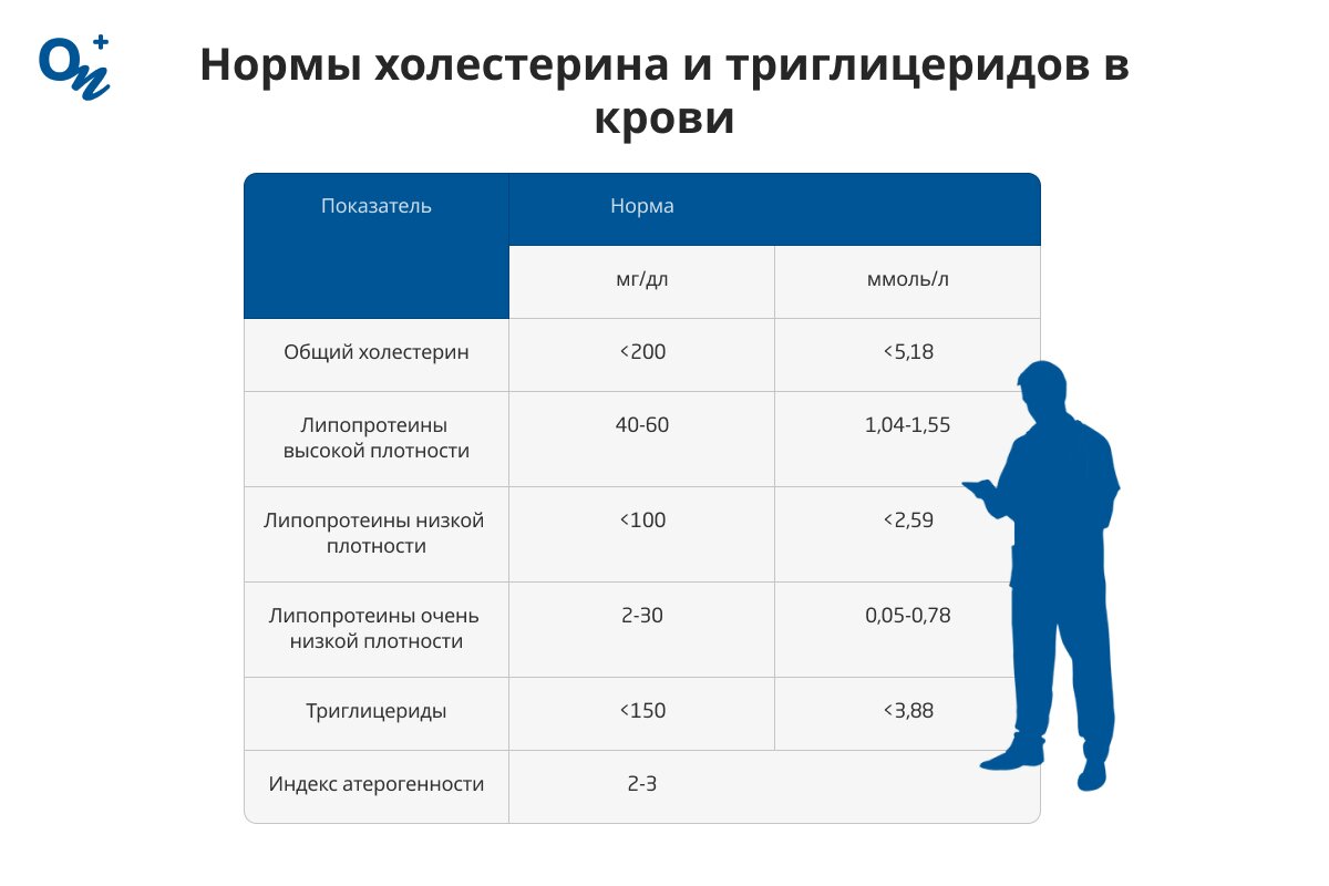 Какие нормы холестерина и триглицеридов в крови?