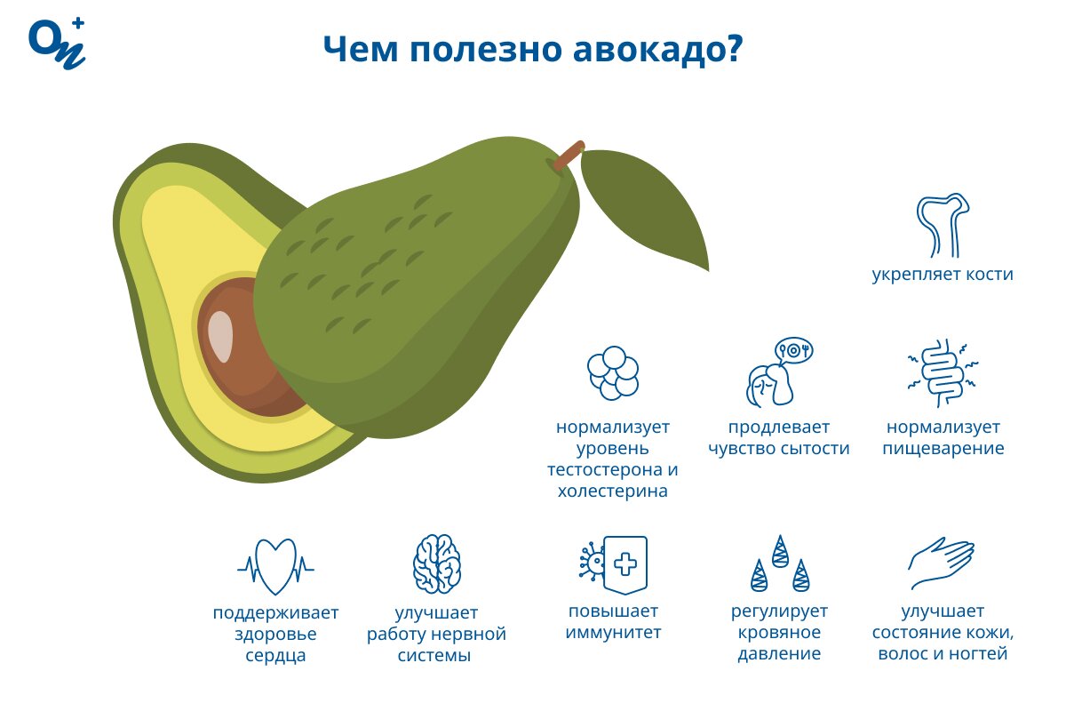 Чем полезно авокадо?