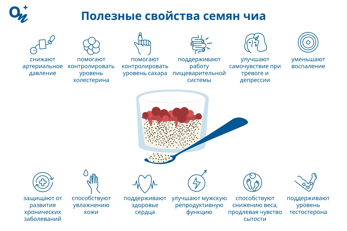 Полезные свойства семян чиа