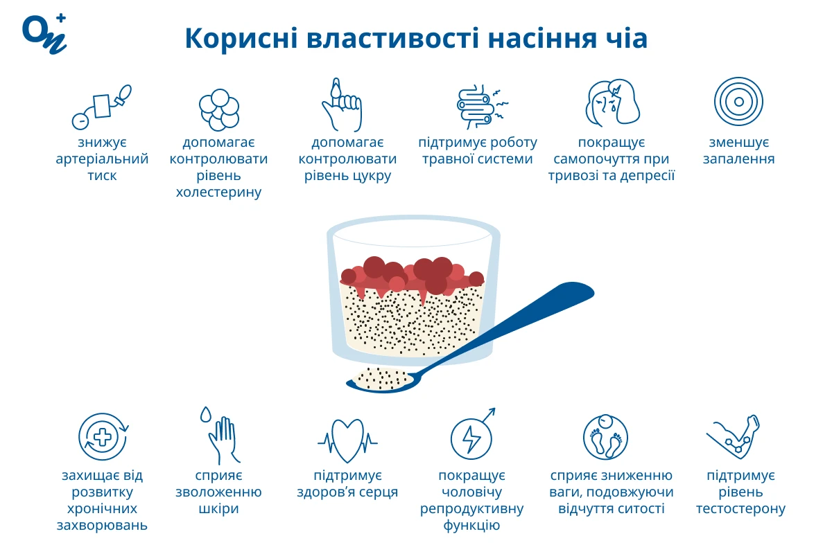 Корисні властивості насіння чіа
