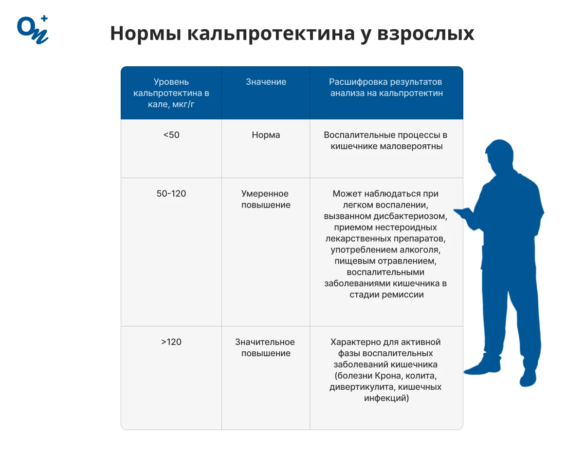 Нормы кальпротектина у взрослых