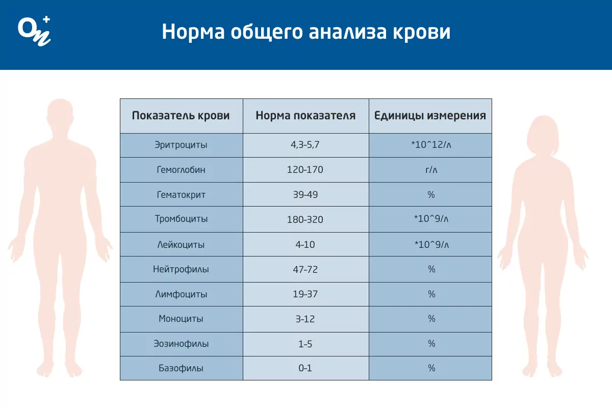 Мочевина в крови (сыворотке)