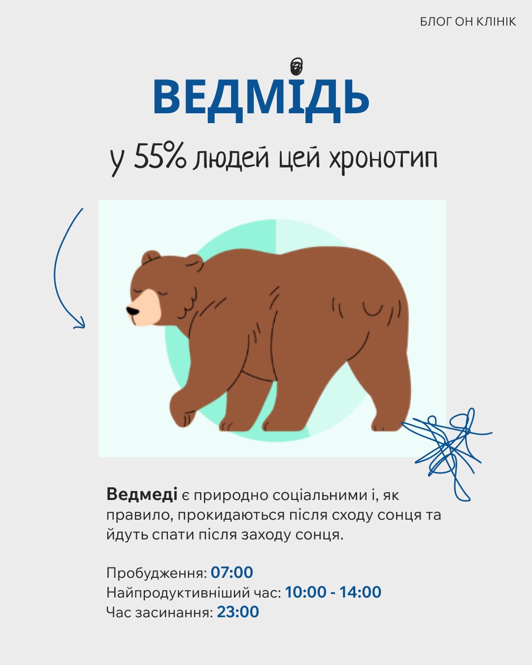 Хронотип «Ведмідь»