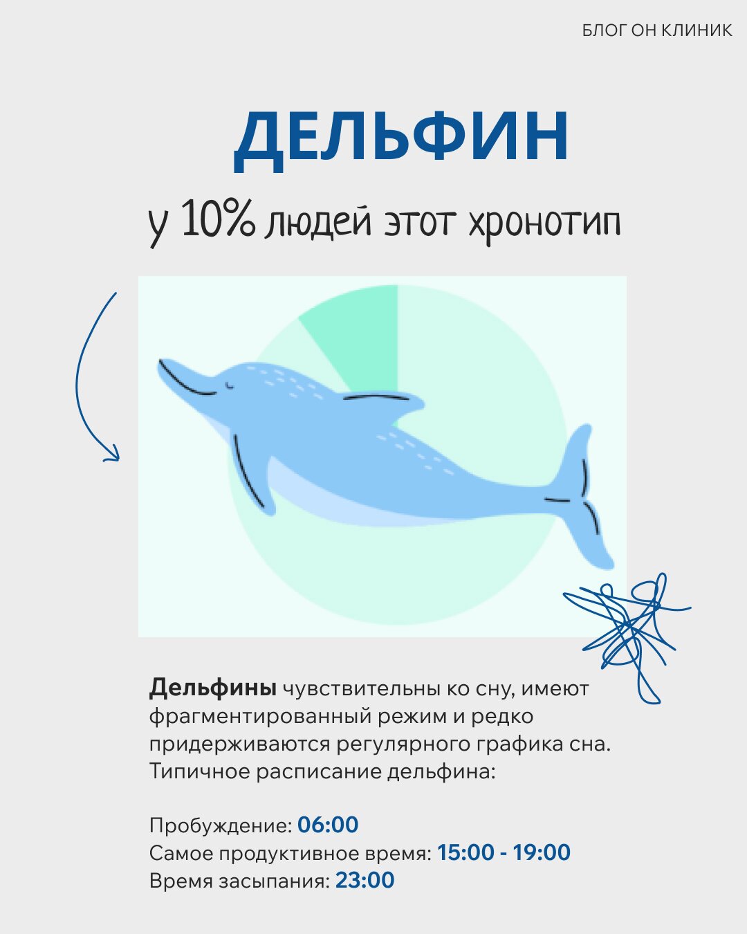 Хронотип «Дельфин»