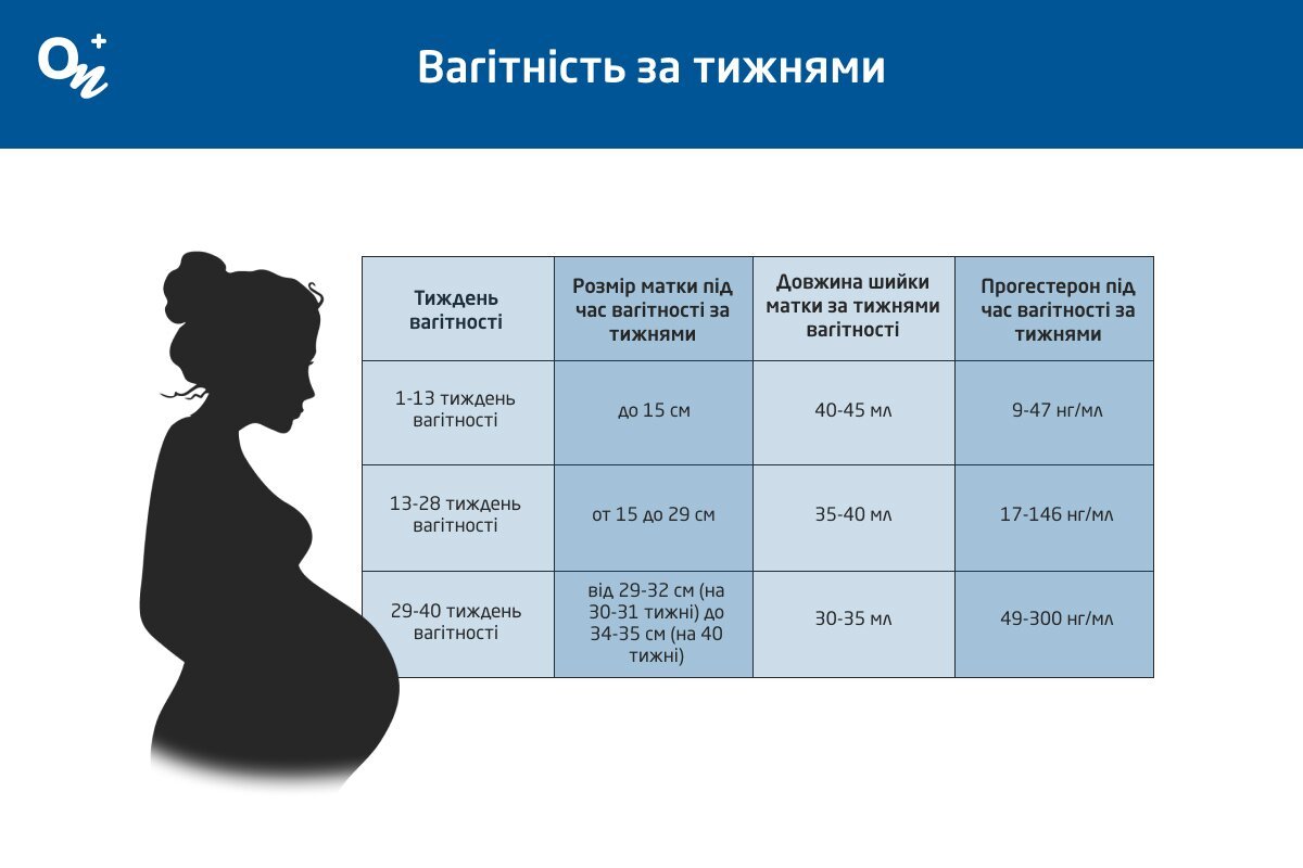 Таблиця розмірів матки та рівня прогестерону за тижнями вагітності