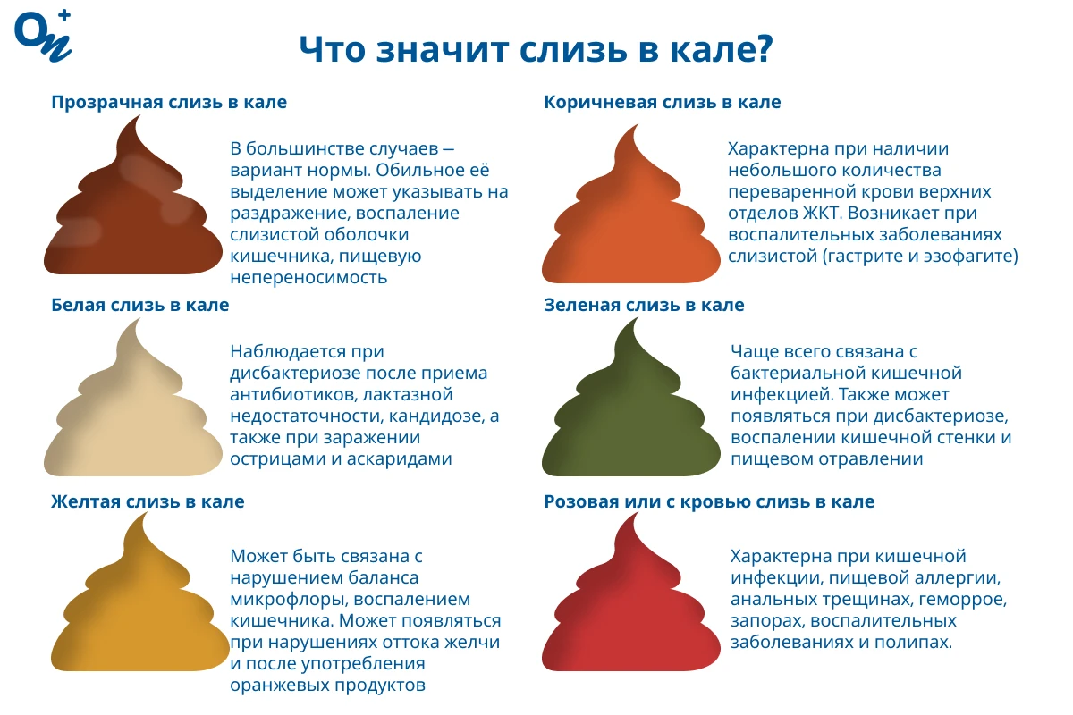 Какой бывает слизь в кале?