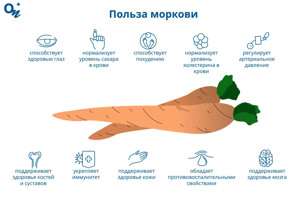 Польза моркови