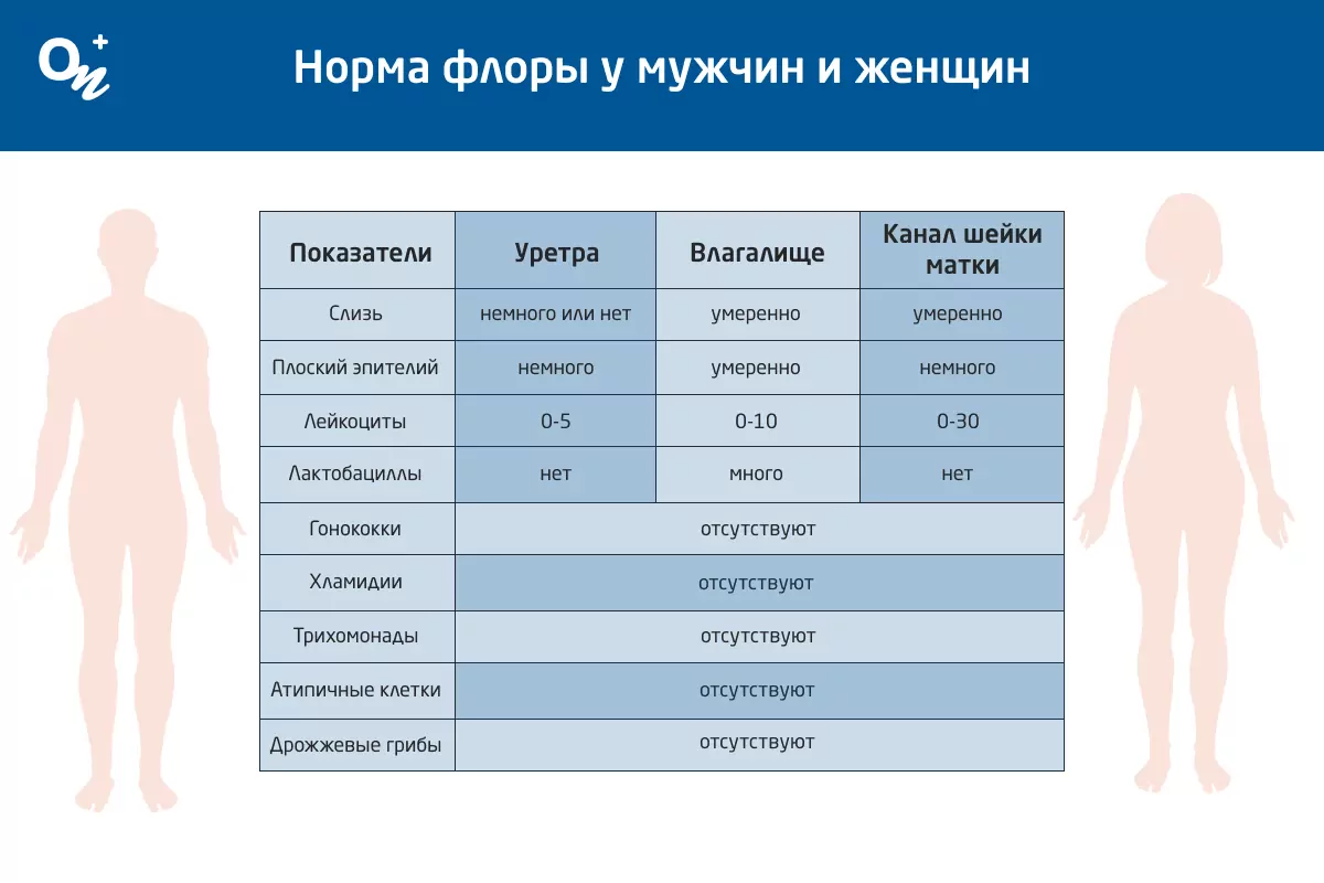 Как проявляются ЗППП — блог медицинского центра ОН Клиник