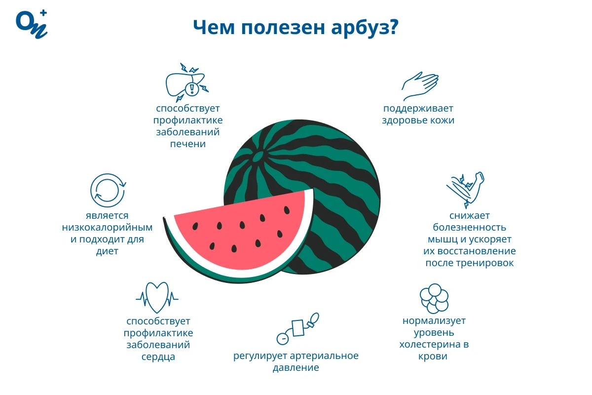 Чем полезен арбуз?
