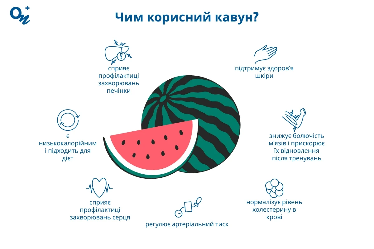 Чим корисний кавун?