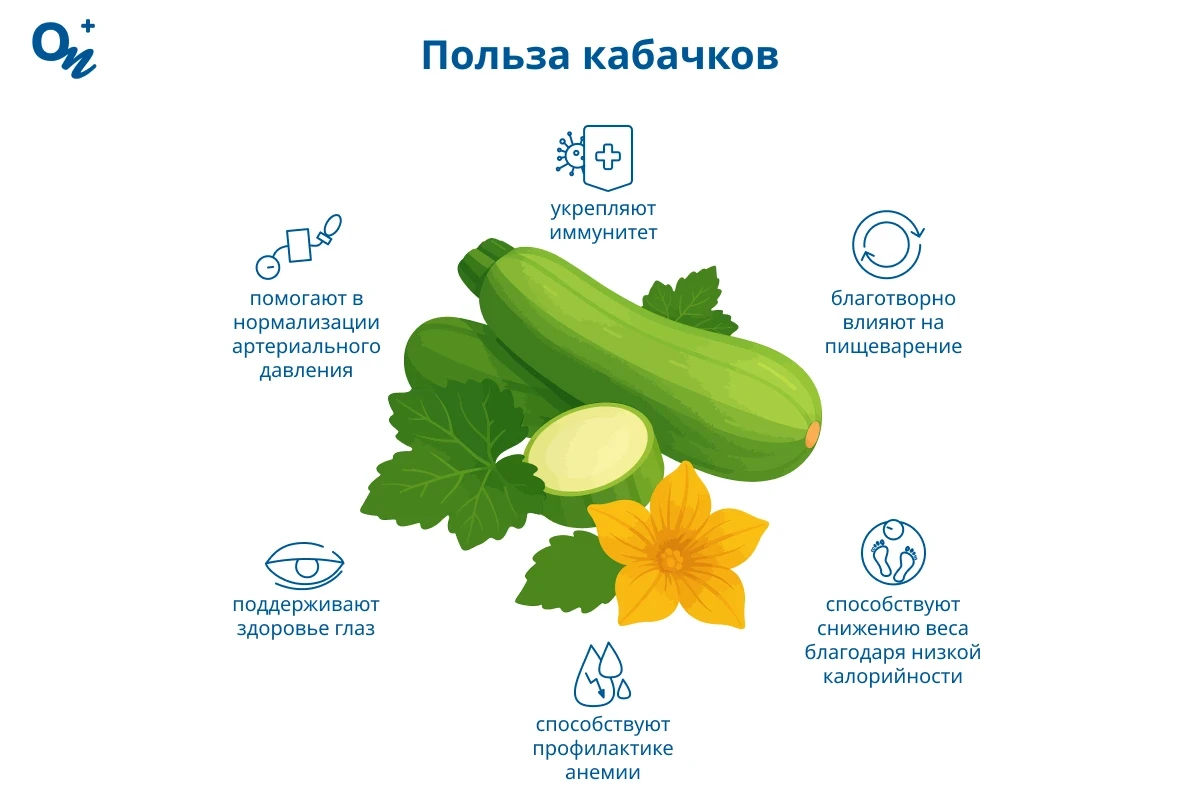 Польза кабачков