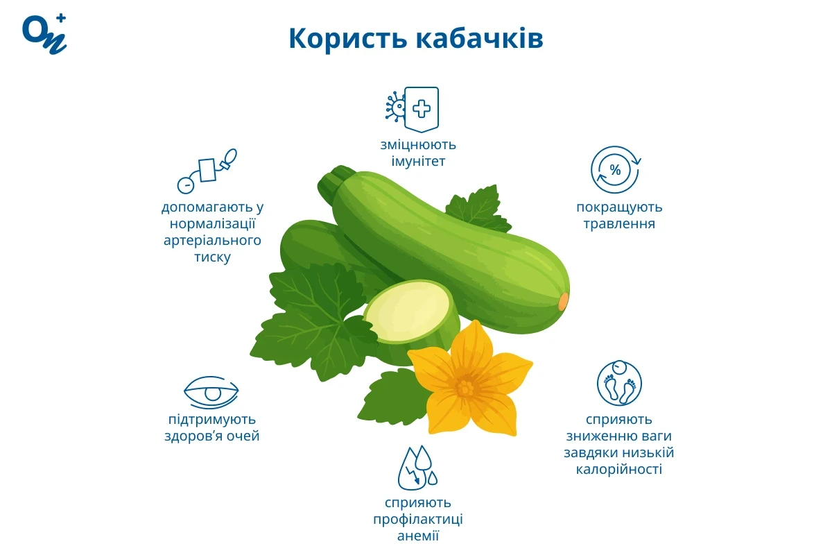 Користь кабачків