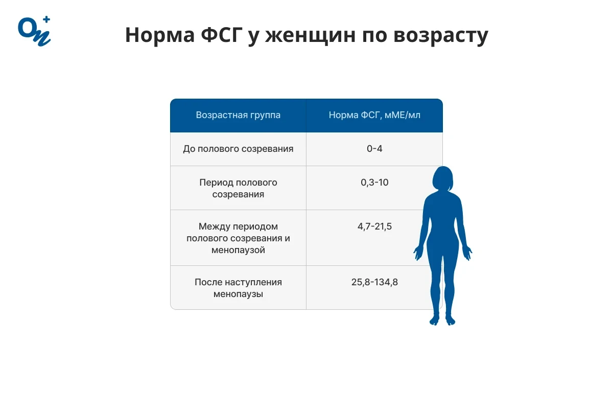 Норма ФСГ у женщин по возрасту