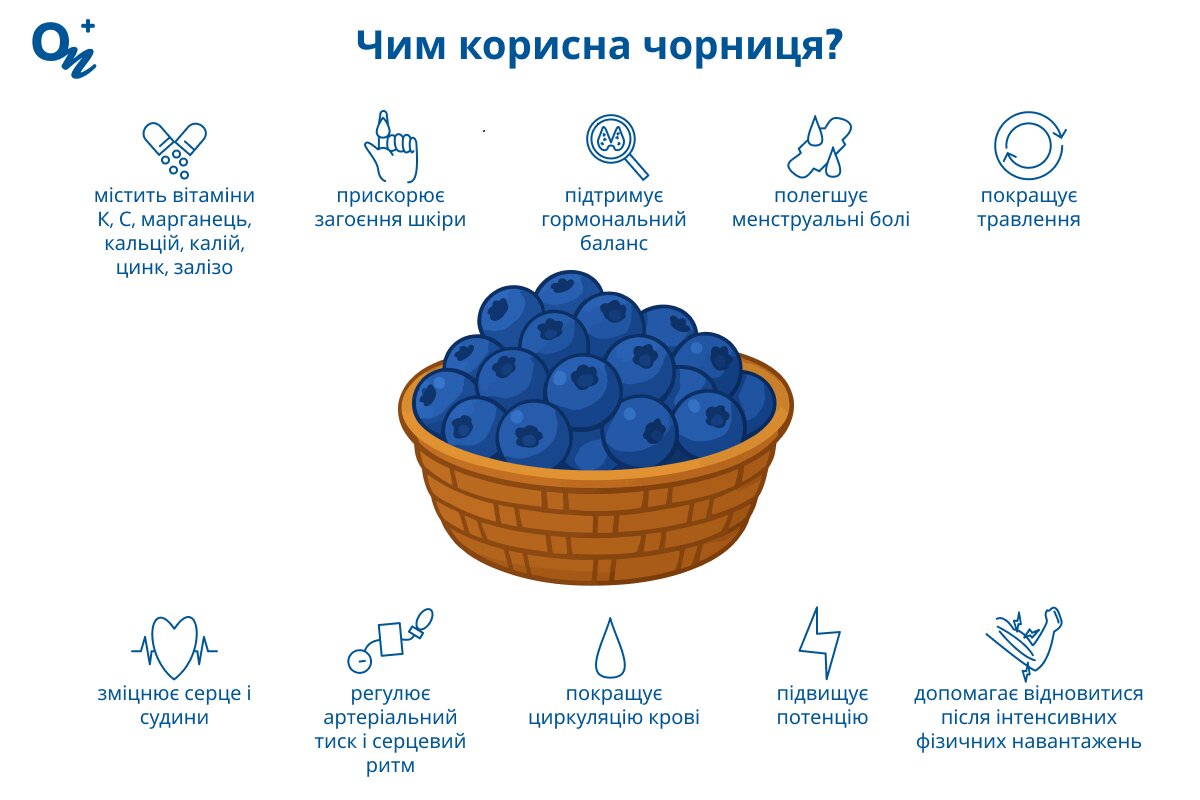 Чим корисна чорниця?