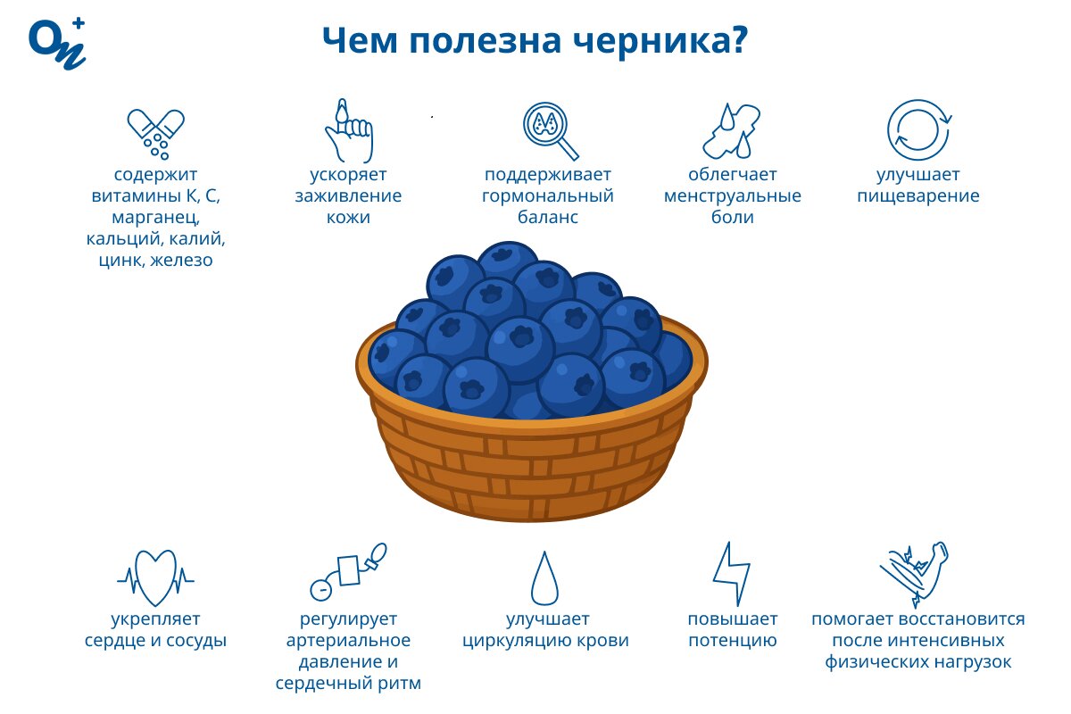 Чем полезна черника?