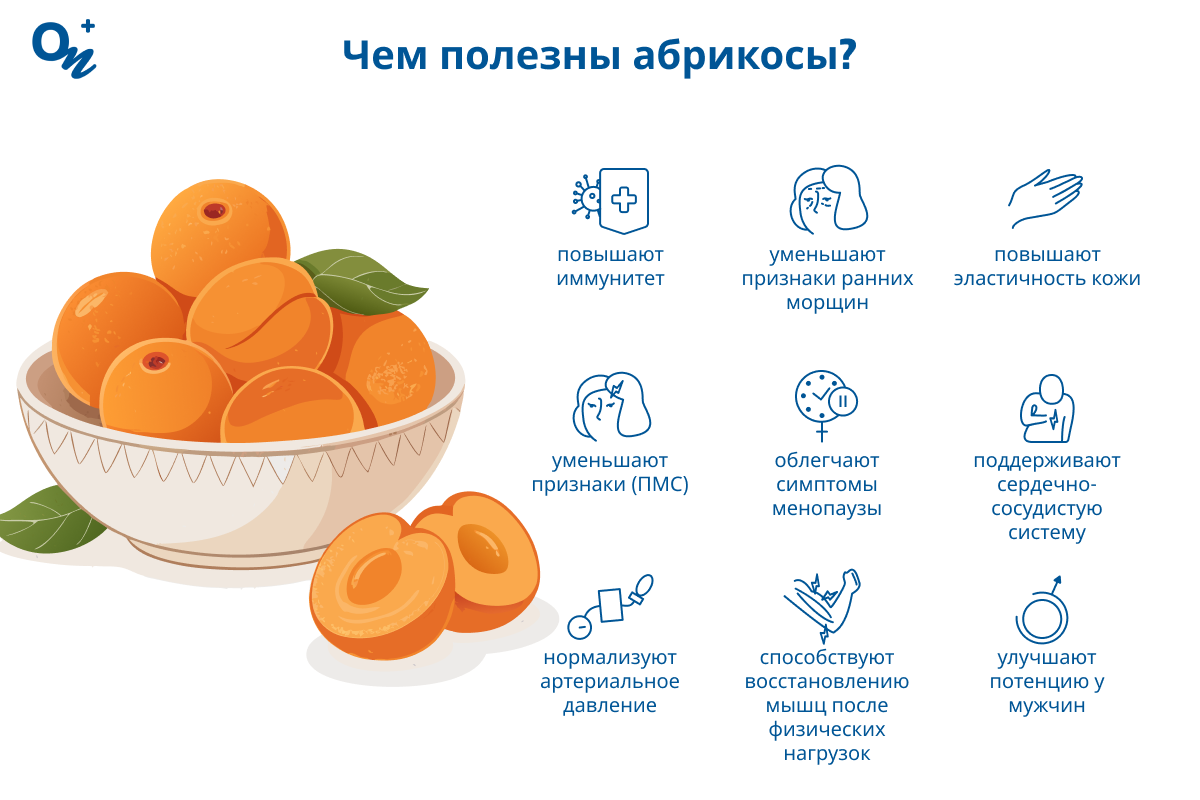 Чем полезны абрикосы?